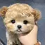 実樹のプロフィール画像