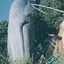 Eveのプロフィール画像