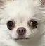 りのプロフィール画像