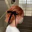Haruのプロフィール画像