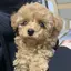 りんりんのプロフィール画像