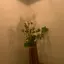 せのプロフィール画像