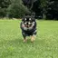 chiのプロフィール画像