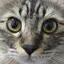 祐輝のプロフィール画像