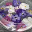 あさみみんのプロフィール画像