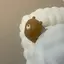 さーやのプロフィール画像