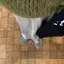 ゆのプロフィール画像