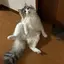 夏苗のプロフィール画像