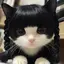 真愛のプロフィール画像