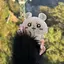 みちゃんのプロフィール画像