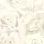 mのプロフィール画像
