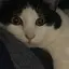 湊のプロフィール画像