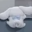 Yのプロフィール画像