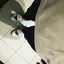 ipのプロフィール画像