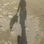 lanのプロフィール画像