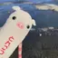 岬のプロフィール画像