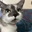 ゆきのプロフィール画像