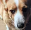 i2kのプロフィール画像