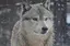 あのプロフィール画像