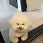 清楓のプロフィール画像