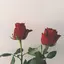 Haのプロフィール画像