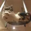 ミナのプロフィール画像