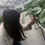 みなみのプロフィール画像