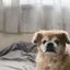 渚のプロフィール画像