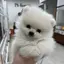 なちなちのプロフィール画像