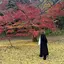 naのプロフィール画像