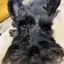 ねむこのプロフィール画像