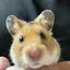 るいのプロフィール画像