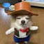 エヌのプロフィール画像