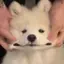 なぎのプロフィール画像