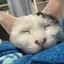 萌惠のプロフィール画像