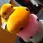rikukuのプロフィール画像