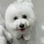 みゆのプロフィール画像