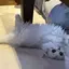 えむのプロフィール画像