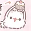 ぽめのプロフィール画像