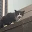 haruのプロフィール画像
