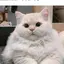 ことのプロフィール画像