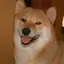 NMのプロフィール画像