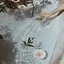 Karinのプロフィール画像