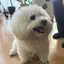 やっちのプロフィール画像