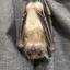 nozpyのプロフィール画像