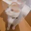 ,のプロフィール画像