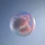 学生のプロフィール画像