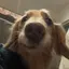 まなぽんのプロフィール画像
