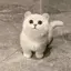 みるきーのプロフィール画像