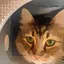 かりんのプロフィール画像